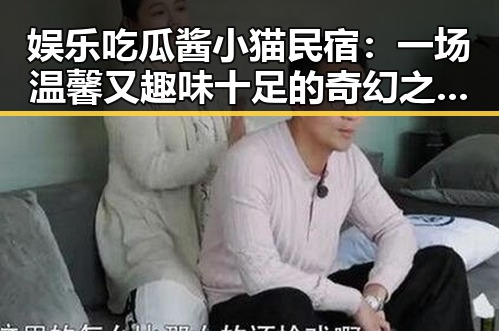 娱乐吃瓜酱小猫民宿：一场温馨又趣味十足的奇幻之旅！✨