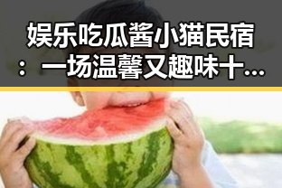娱乐吃瓜酱小猫民宿：一场温馨又趣味十足的奇幻之旅！✨